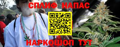 мяу мяу мука Будённовск