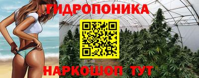 мяу мяу мука Будённовск